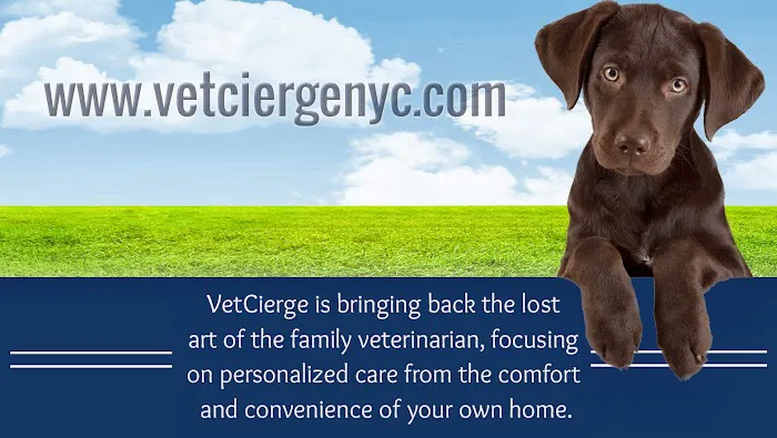 VetCierge Veterinary House Calls Picture 4