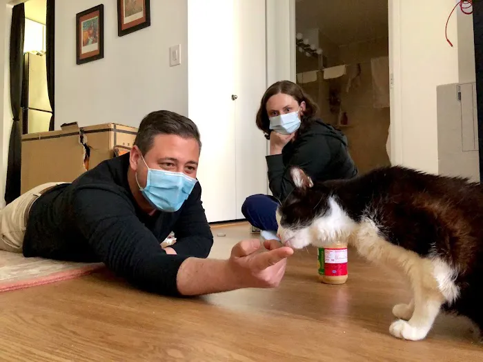 VetCierge Veterinary House Calls Picture 7