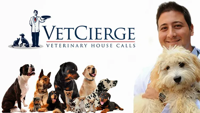 VetCierge Veterinary House Calls Picture 6
