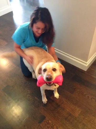 VetCierge Veterinary House Calls Picture 3