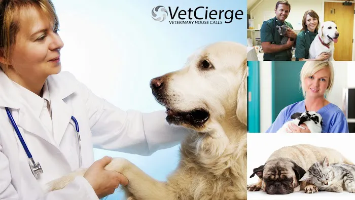 VetCierge Veterinary House Calls Picture 1