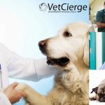 VetCierge Veterinary House Calls