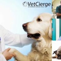 VetCierge Veterinary House Calls ico