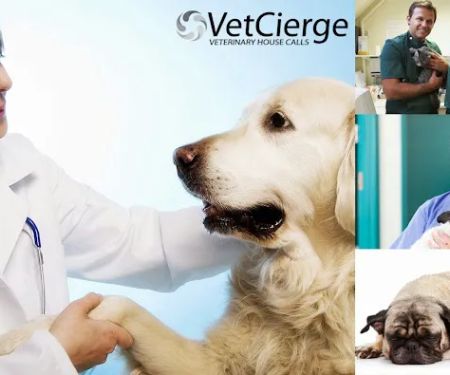 VetCierge Veterinary House Calls