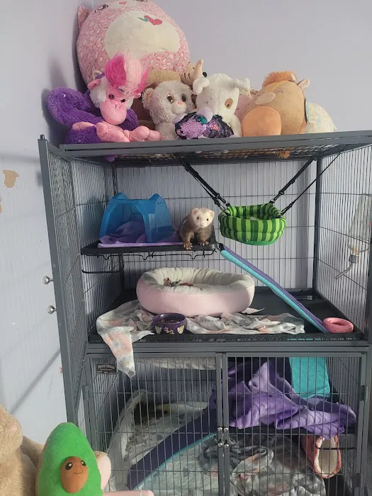 Pet Supplies Plus Raleigh Picture 2