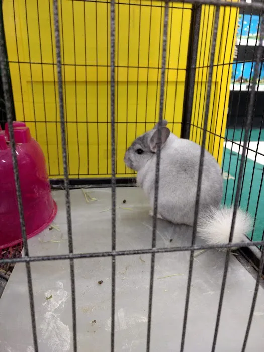Pet Supplies Plus Raleigh Picture 6