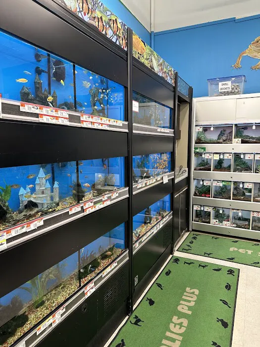 Pet Supplies Plus Raleigh Picture 9