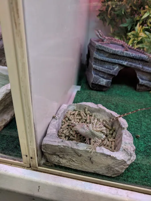 Pet Supplies Plus Raleigh Picture 7