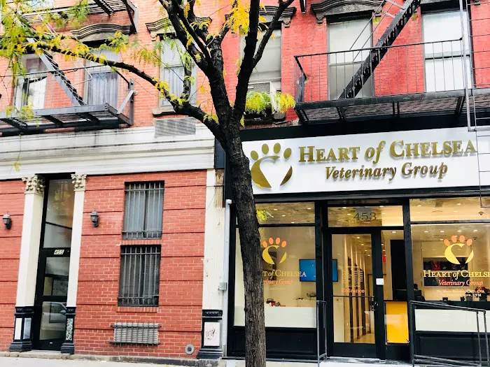 Heart of Chelsea Veterinary Group - Hell's Kitchen Picture 10