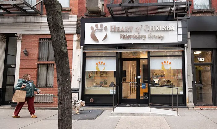 Heart of Chelsea Veterinary Group - Hell's Kitchen Picture 1