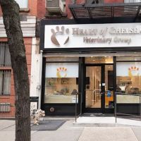 Heart of Chelsea Veterinary Group - Hell's Kitchen ico