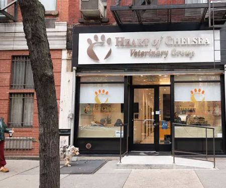 Heart of Chelsea Veterinary Group - Hell's Kitchen
