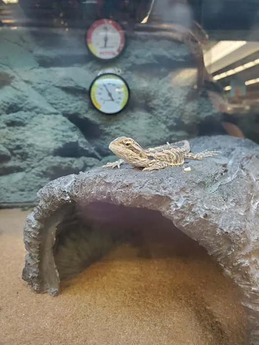 Petco Picture 2