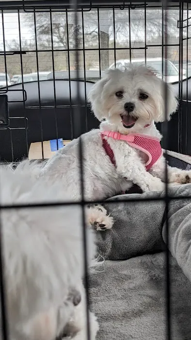 Petco Picture 1