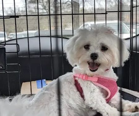 Petco