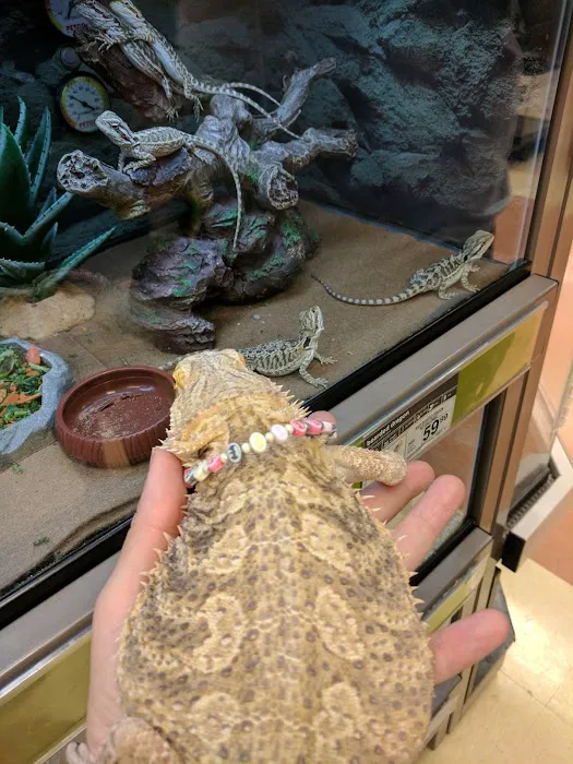 Petco Picture 10