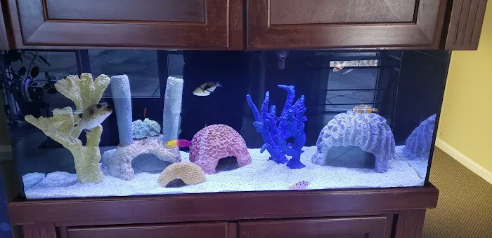 Aquatic Creations Group Inc Picture 10