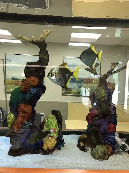 Aquatic Creations Group Inc Picture 4