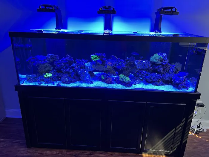 Aquatic Creations Group Inc Picture 5