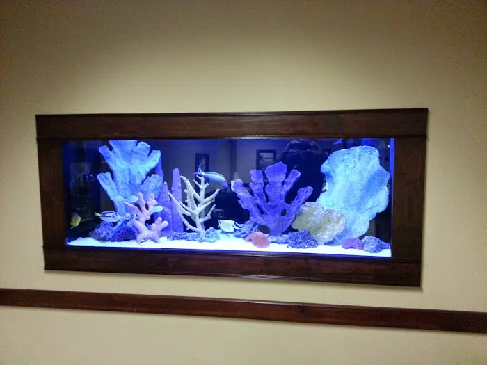 Aquatic Creations Group Inc Picture 2