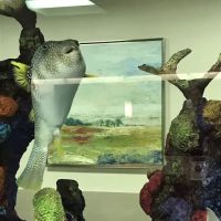 Aquatic Creations Group Inc ico