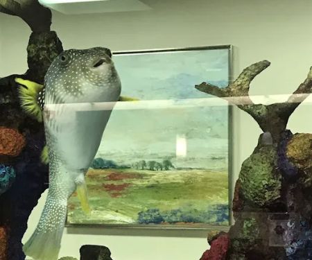 Aquatic Creations Group Inc