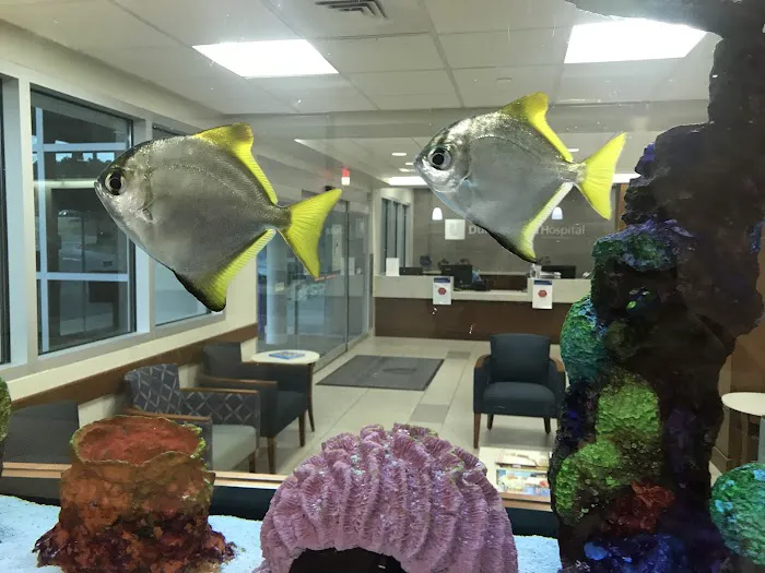Aquatic Creations Group Inc Picture 3