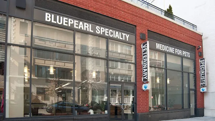 BluePearl Pet Hospital Picture 1