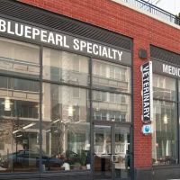 BluePearl Pet Hospital ico