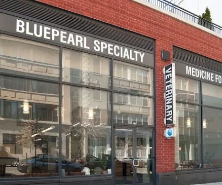BluePearl Pet Hospital