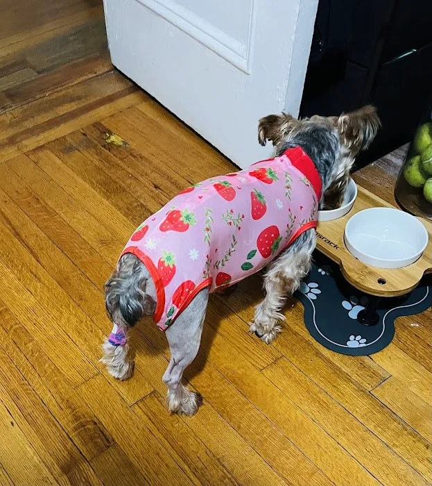 BluePearl Pet Hospital Picture 10