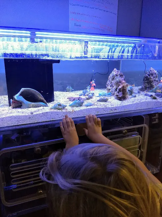 The Fish Room Picture 10