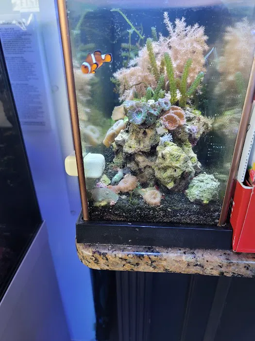 The Fish Room Picture 3