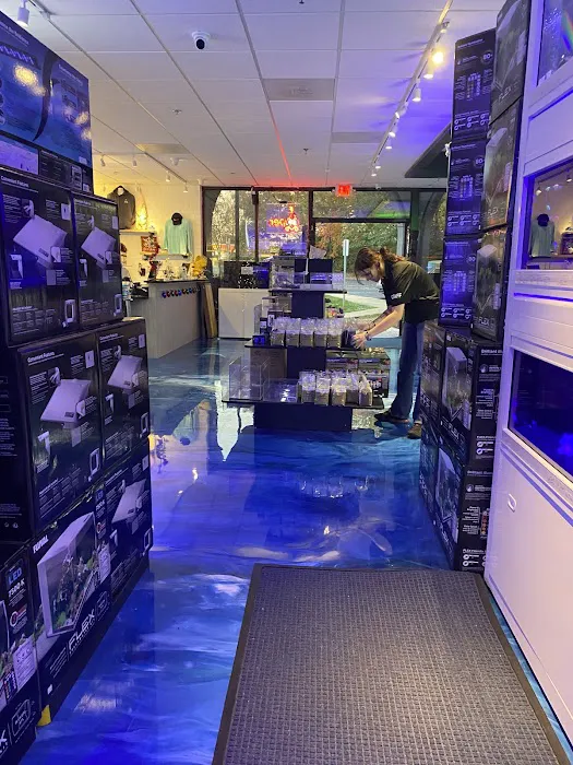 The Fish Room Picture 7