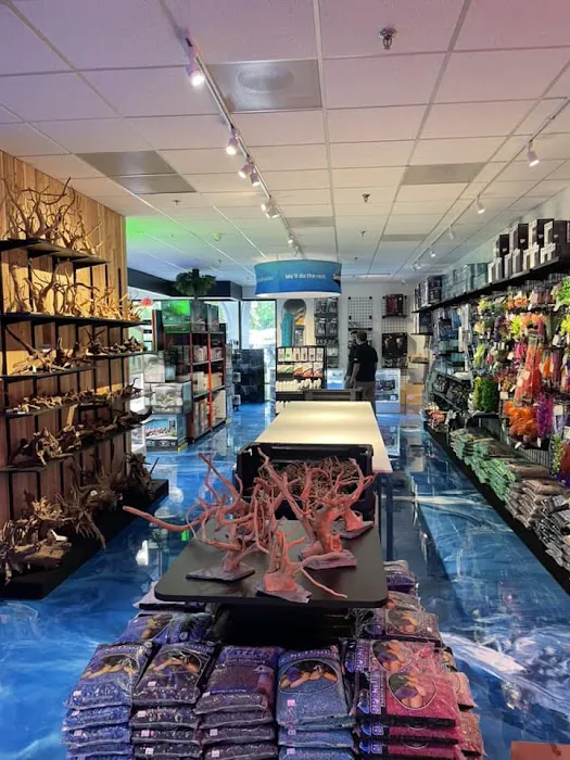 The Fish Room Picture 8