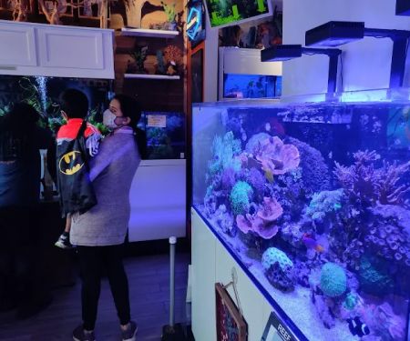 The Fish Room