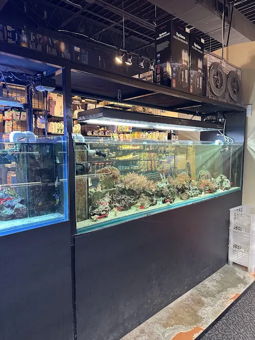The Fish Room Picture 2
