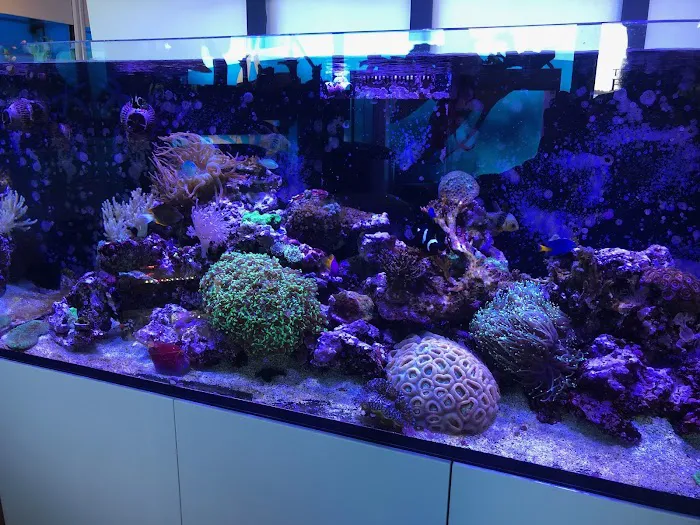 The Fish Room Picture 9