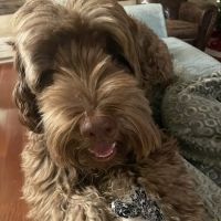 Clinton Veterinary Center ico
