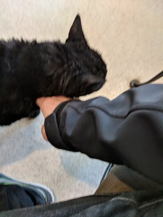 Clinton Veterinary Center Picture 4
