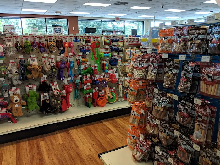Pet Supermarket Picture 9