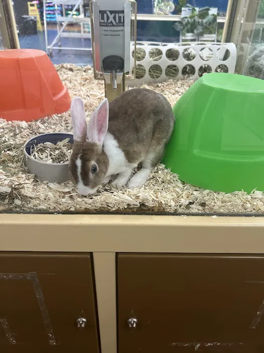 Pet Supermarket Picture 8