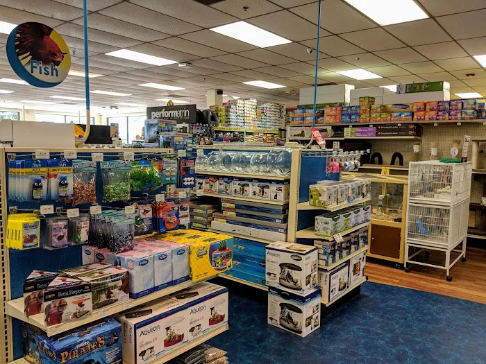 Pet Supermarket Picture 6