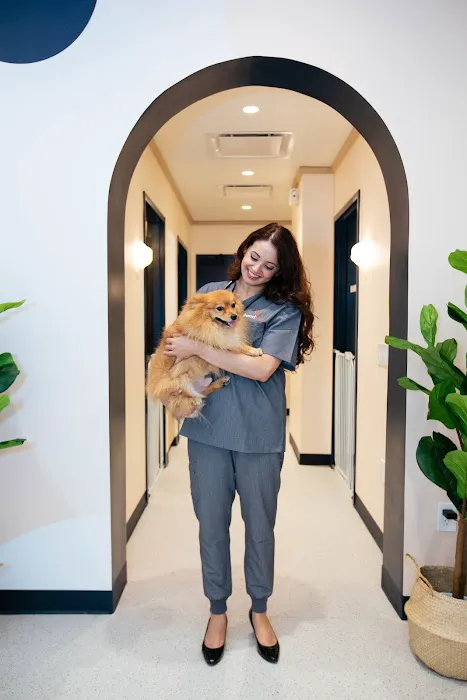 Bond Vet - East Village Picture 6