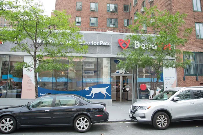 Bond Vet - East Village Picture 9