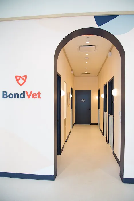 Bond Vet - East Village Picture 2