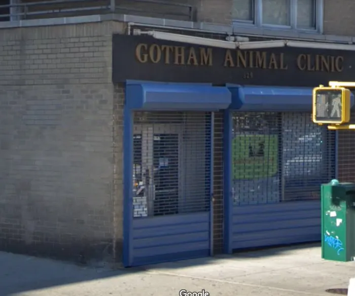 Gotham Animal Clinic Picture 9
