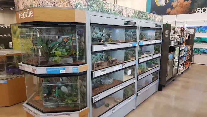 Petco Picture 2