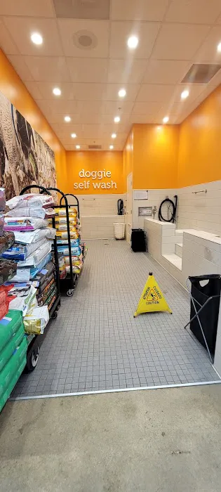 Petco Picture 6