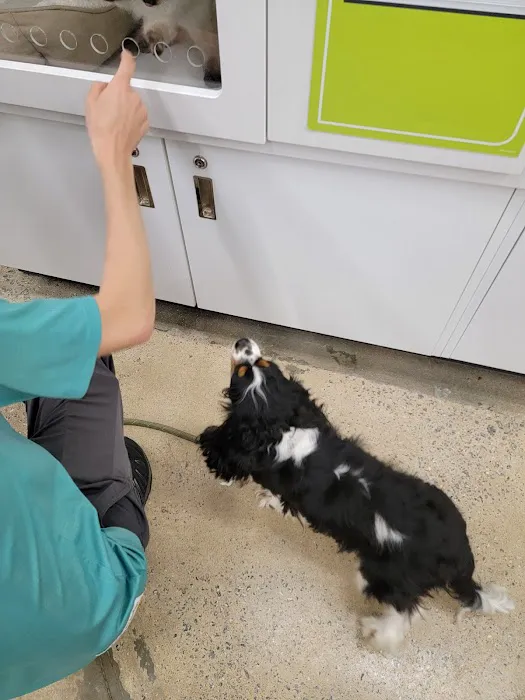 Petco Picture 8